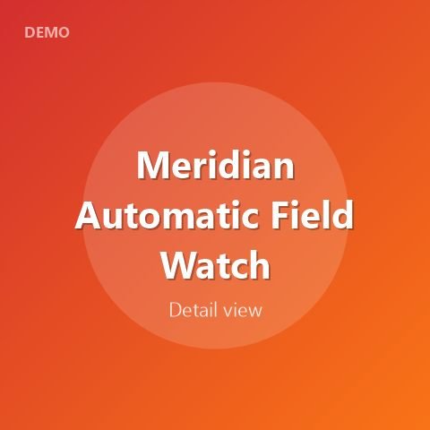 Meridian Automatic Field Watch